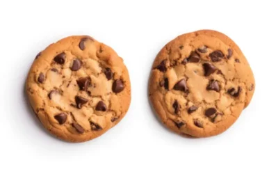 ¿Qué son las cookies y para que sirven?